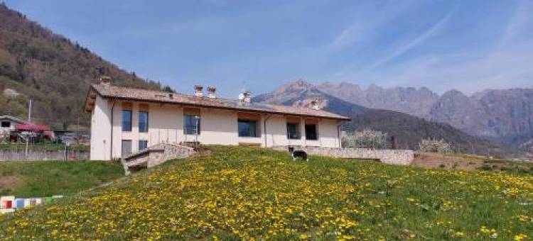 La Casa di Maia - Alloggio Agrituristico图片