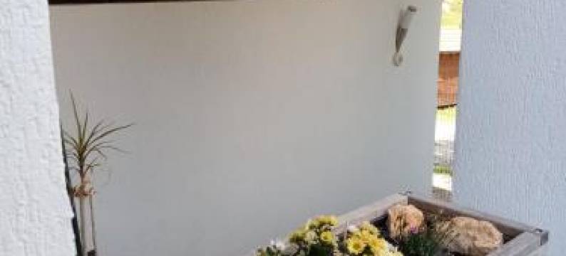 波亚纳基督教旅馆(Poiana Cristian)图片