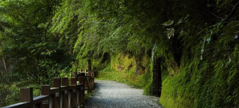 桃园宾士旅馆图片