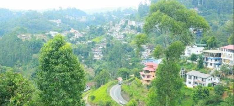 绿色景观酒店(Hotel Green View)图片