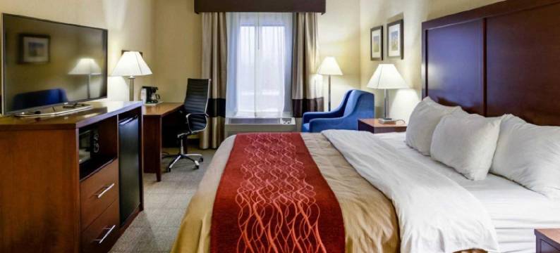 舒适酒店汉堡区 / I-75列克星敦(Comfort Inn Lexington I-75)图片