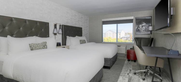 喜来登福朋阿马里洛中心酒店(Four Points by Sheraton Amarillo Central)图片