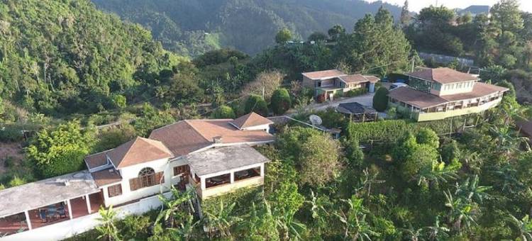 蓝岭餐厅及小屋酒店(Blue Ridge Restaurant & Cottages)图片
