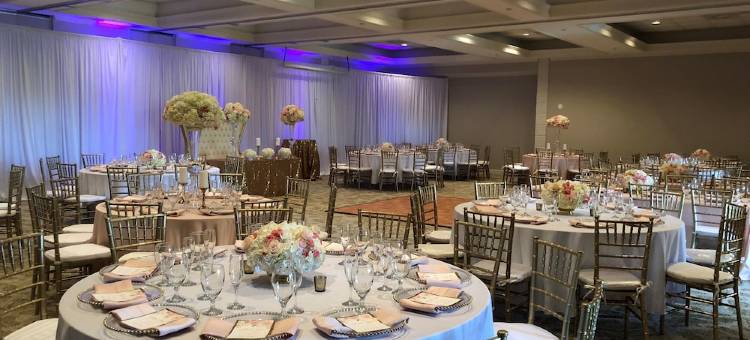 温莎花园贝斯特韦斯特优质套房酒店(Best Western Plus Palm Beach Gardens Hotel  Suites and Conference Ct)图片