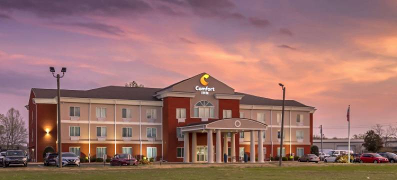 美国80号高速公路舒适酒店(Comfort Inn US Hwy 80)图片