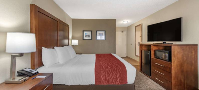 米德尔敦 - 富兰克林舒适套房酒店(Comfort Inn & Suites Middletown - Franklin)图片