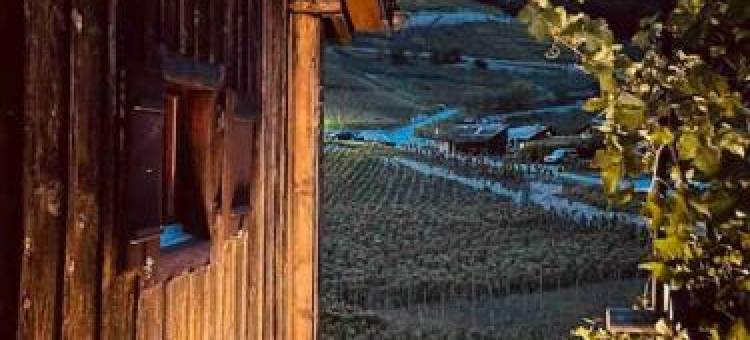 Alpine Bliss - Cozy Chalet with Panoramic Views图片