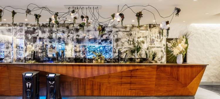 梦想好莱坞酒店，凯悦旗下(Dream Hollywood by Hyatt)图片