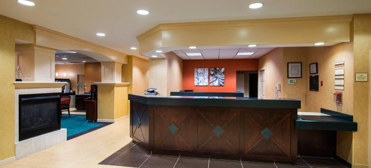 波士顿弗雷明汉Residence Inn 酒店(Residence Inn Boston Framingham)图片