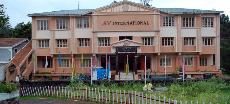 SV国际酒店(Hotel SV International)图片