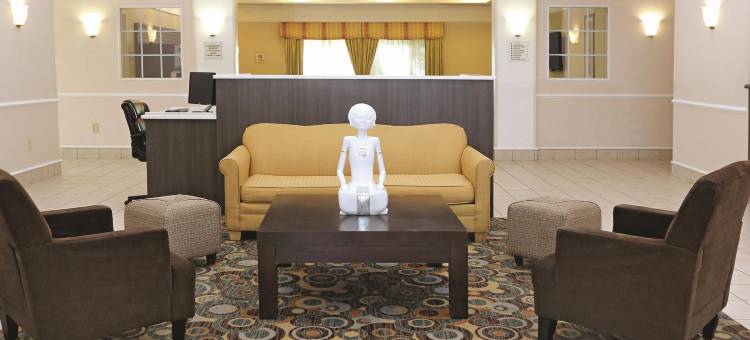 诺福克拉昆塔温德姆套房酒店(La Quinta Inn & Suites by Wyndham Norfolk)图片