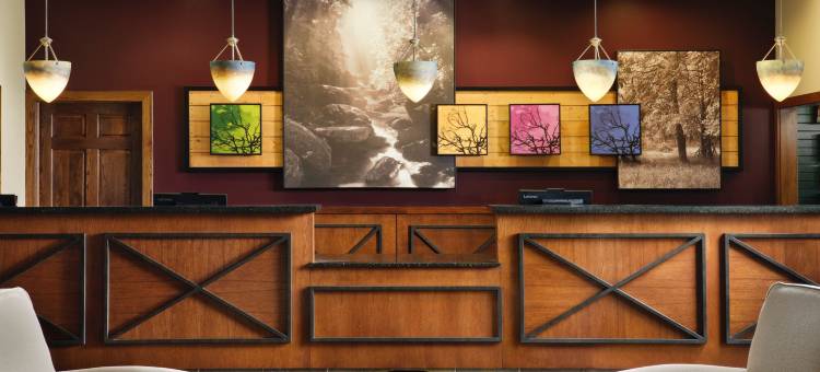 万豪威洛瑞吉别墅酒店(Marriott's Willow Ridge Lodge)图片