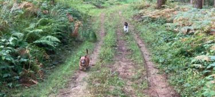 Maison Lavande图片