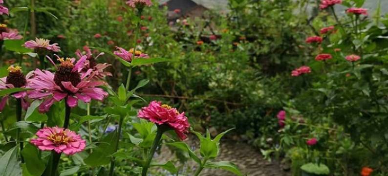 枫驿客栈民宿(团结路分店)图片