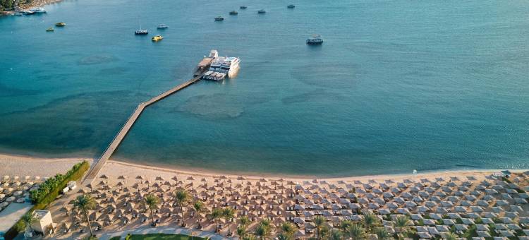 贾兹阿夸维瓦(JAZ Aquaviva)图片