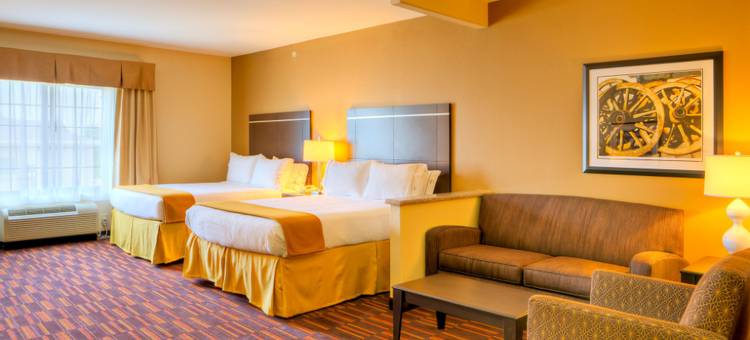 格兰伯瑞智选假日酒店及套房(Holiday Inn Express & Suites Granbury)图片