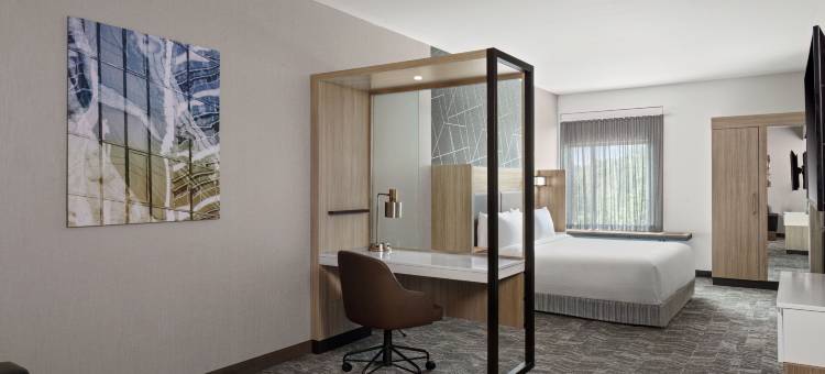 拉马祖港口春希尔套房酒店(SpringHill Suites Kalamazoo Portage)图片