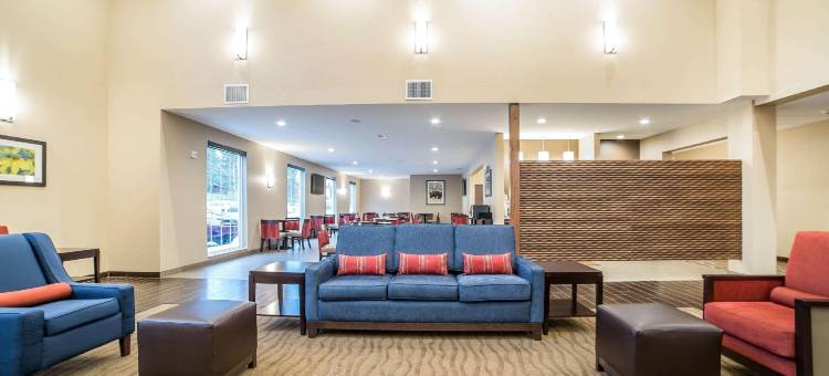 舒适套房酒店-近拉什莫尔山(Comfort Inn & Suites Near Mt Rushmore)图片