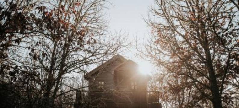 Cabane Rouge-Gorge图片