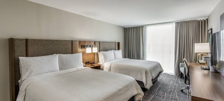 达拉斯市场中心爱田假日酒店(Holiday Inn DALLAS MARKET CTR LOVE FIELD)图片