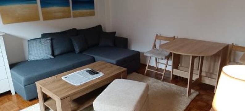 Grbavica Cozy Apartment - Free Parking图片