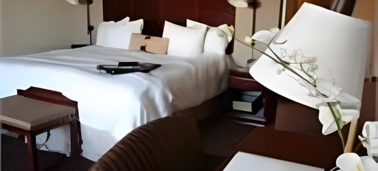 希尔顿欢朋套房酒店-诺福克机场(Hampton Inn & Suites Norfolk-Airport)图片