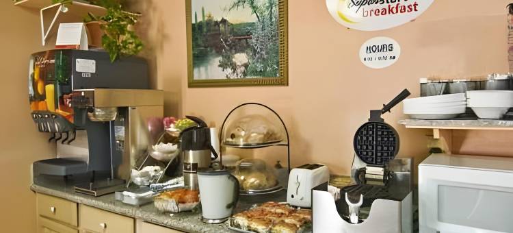 西罗亚斯普林斯速8酒店(Super 8 by Wyndham Siloam Springs)图片