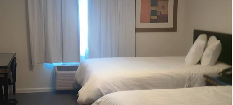 威利斯顿温德姆华美达酒店(Ramada by Wyndham Williston)图片