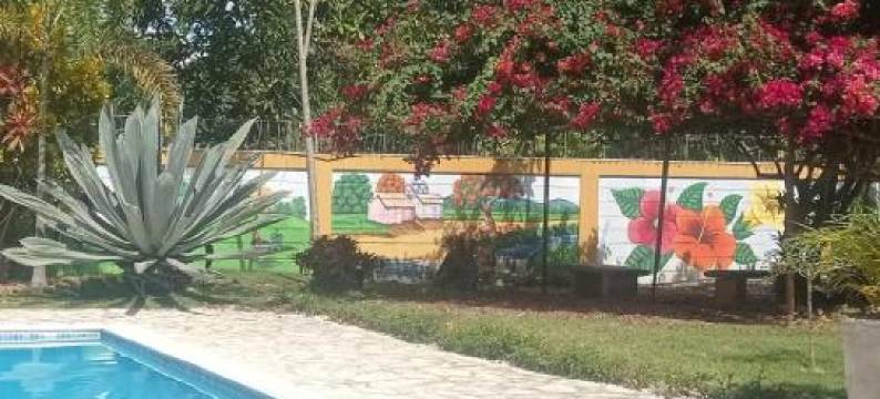 Los Palmares Guest House & Eventos图片