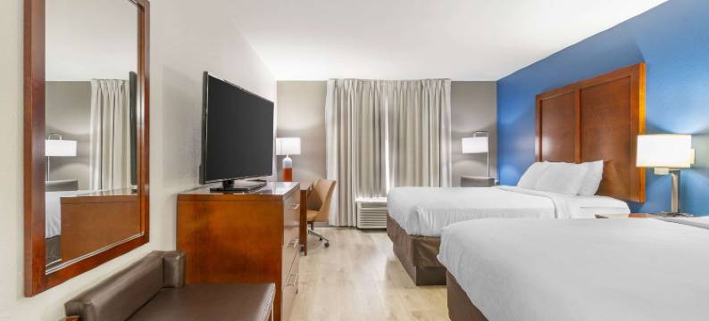 舒适酒店-近圣路易斯六旗(Comfort Inn Near Six Flags St Louis)图片