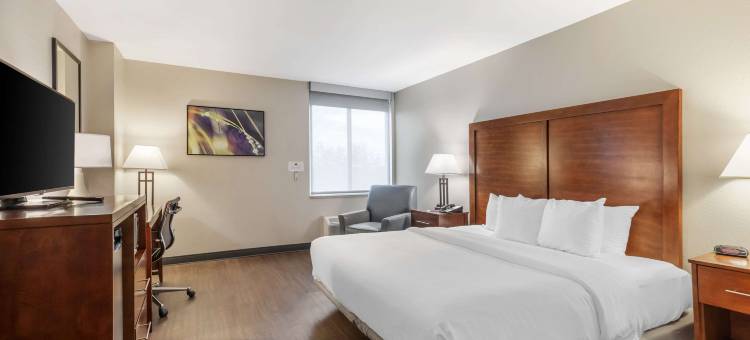 舒适酒店及会议中心(Comfort Inn Conference Center)图片