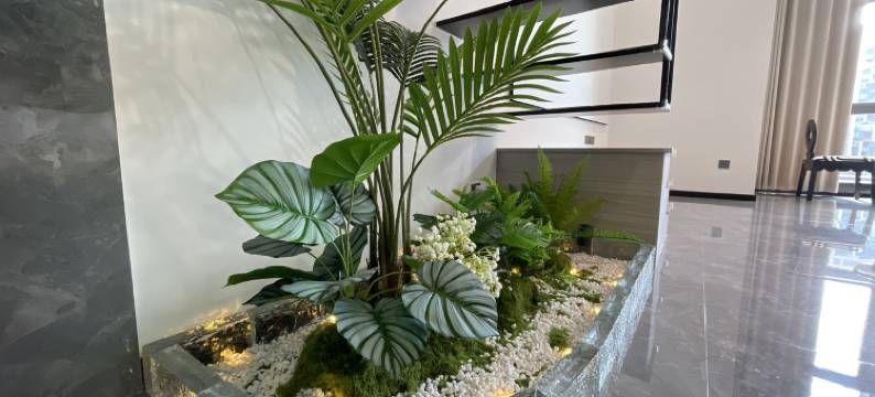虫洞里的番茄公寓(金环南路分店)图片