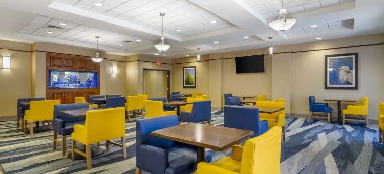 舒适套房酒店-萨拉索塔-西耶斯塔岛(Comfort Suites Sarasota-Siesta Key)图片