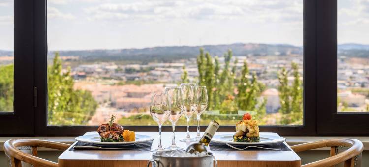 卡斯特罗布兰科美利亚酒店(Melia Castelo Branco)图片