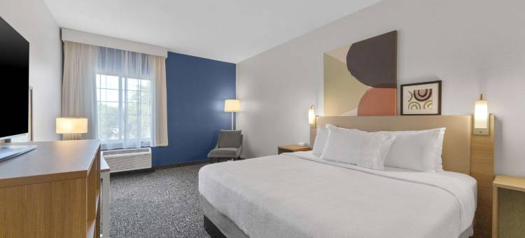 圣安东尼奥多米尼恩希尔顿斯帕克酒店(Spark by Hilton San Antonio Dominion)图片