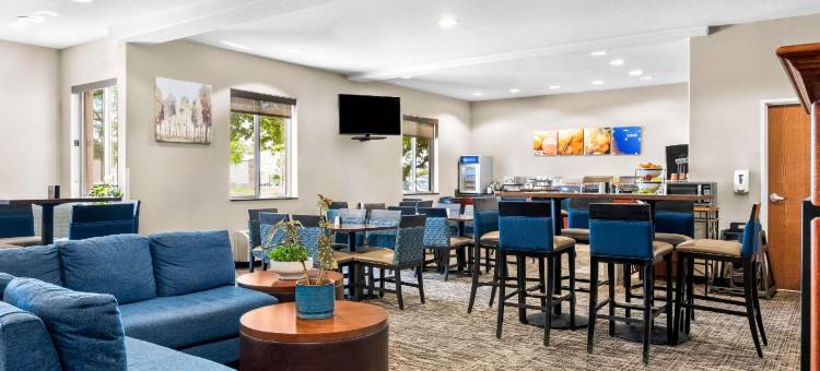 舒适套房酒店(Comfort Inn and Suites)图片