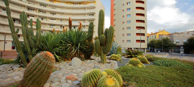 佩皮尼扬阿塞斯酒店(Appart-Hôtel Mer & Golf City Perpignan Centre)图片