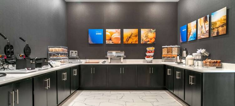 舒适酒店及套房阿德里安(Comfort Inn & Suites Adrian)图片