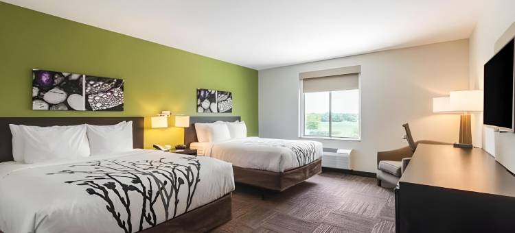 坦帕南部舒眠套房酒店(Sleep Inn & Suites Tampa South)图片