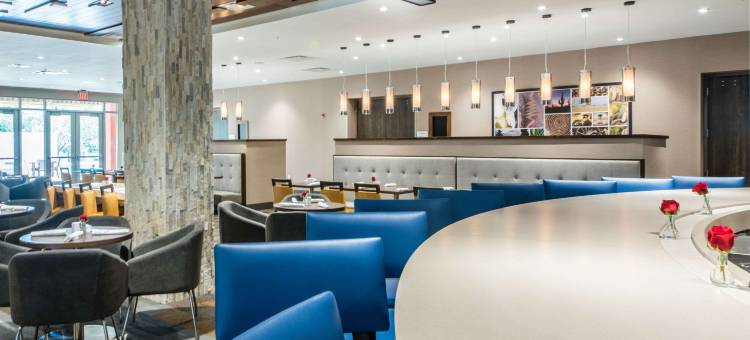 迈克艾伦会议中心坎布里亚酒店(Cambria Hotel McAllen Convention Center)图片