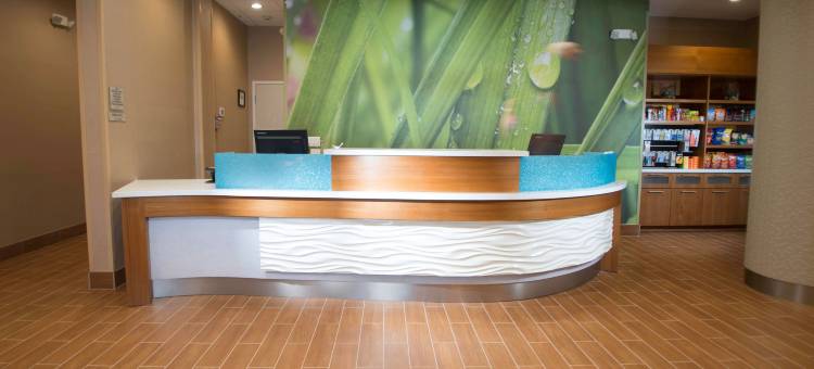 休斯顿威斯切斯万豪SpringHill Suites酒店(SpringHill Suites Houston Westchase)图片