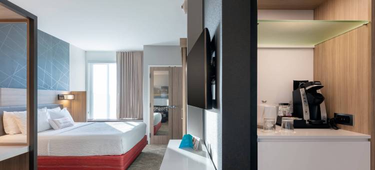 查特努加南-林戈尔德万豪SpringHill Suites酒店(SpringHill Suites Chattanooga South/Ringgold, GA)图片