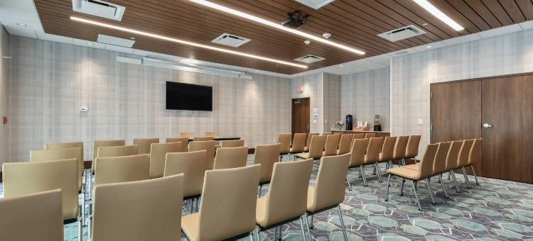 夏洛特-巴兰坦智选假日套房酒店(Holiday Inn Express & Suites Charlotte - Ballantyne)图片