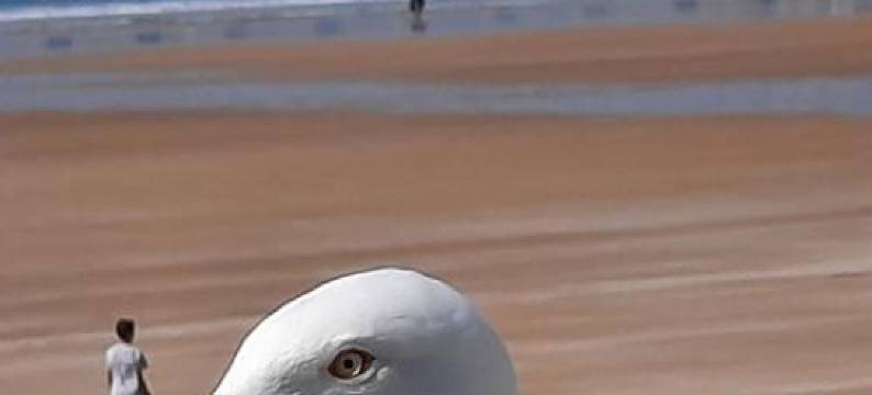 Appartement Vue Sur Mer图片