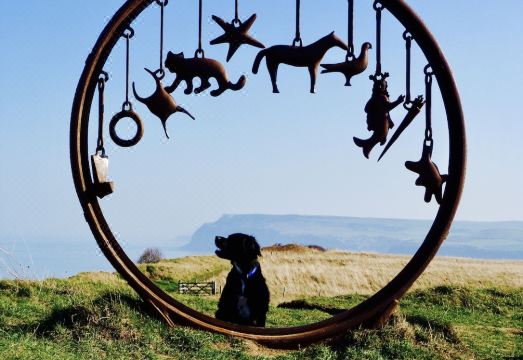 Driftwood Apartment- close to the sea Hotel Overview