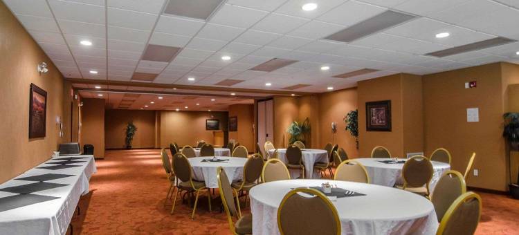 凯艺套房酒店(Quality Inn & Suites)图片