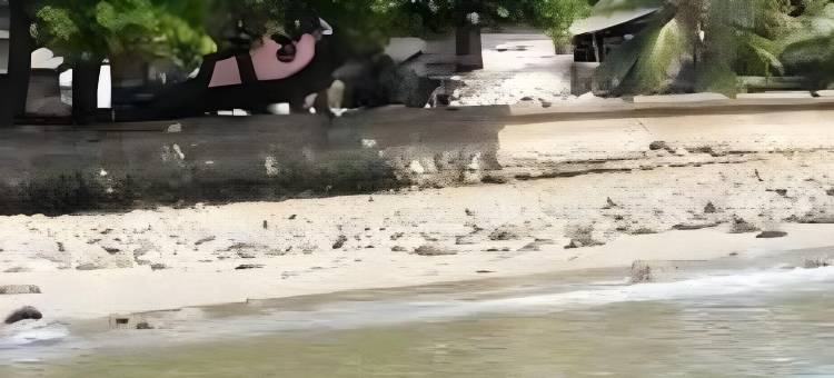 滨海酒店(Sea Hotel)图片