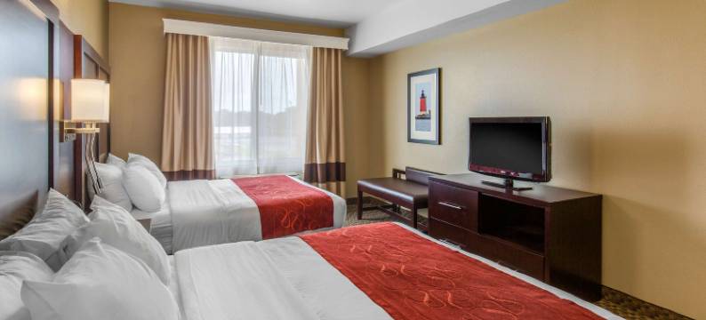 锡福德舒适全套房酒店(Comfort Suites)图片