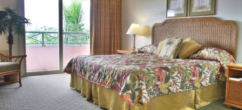 大巴哈马岛漂流套房度假村(Castaways Resort and Suites)图片