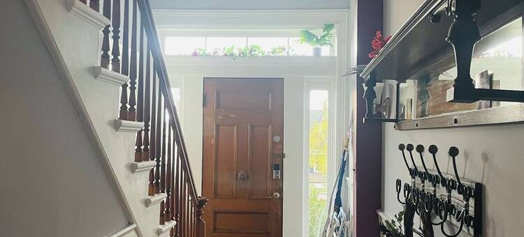 Gingers Tuscan Sunflower图片